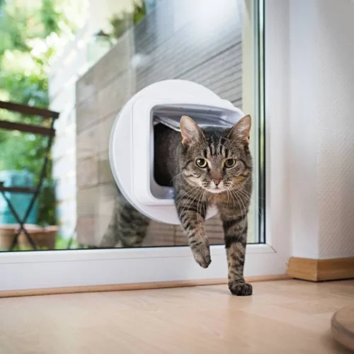 Professional Cat Flap Fitting Services Cat flap fitted into a uPVC door, with a cat stepping through.